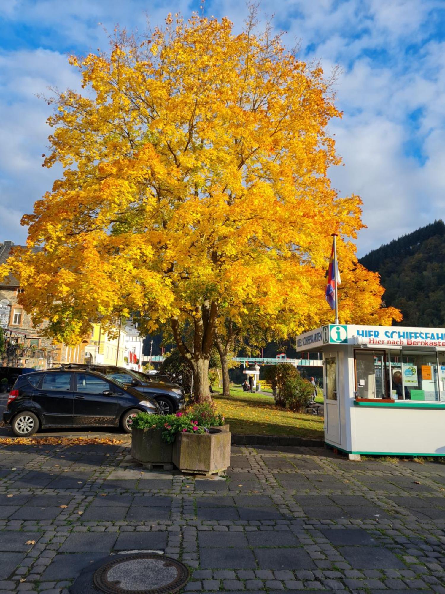 Ferienhaus Take It Easy Villa Traben-Trarbach Eksteriør bilde